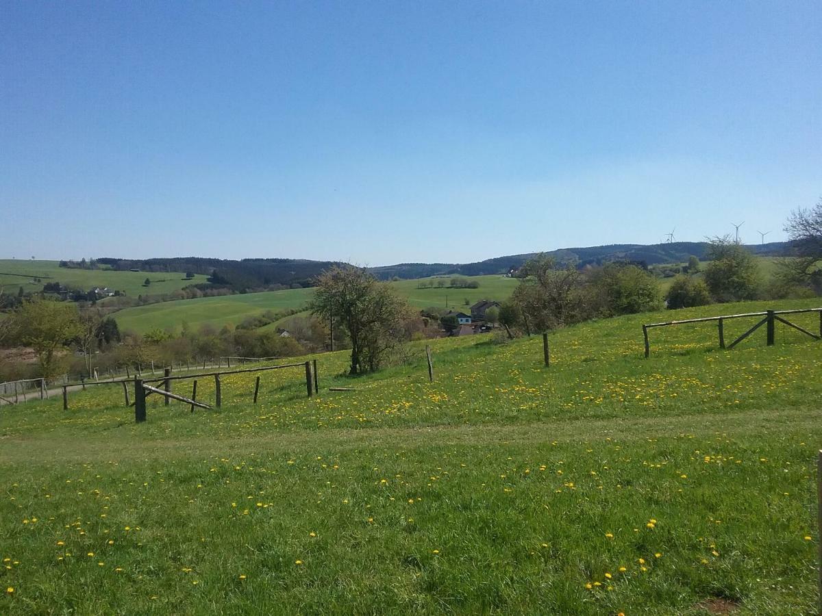 Zur Schoenen Aussicht Hellenthal Exterior foto